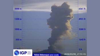 Dispersión de cenizas: el material