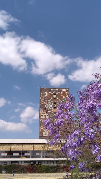 Avenida Horacio en Polanco y