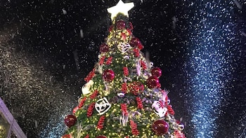 ¿Por qué dicen en redes