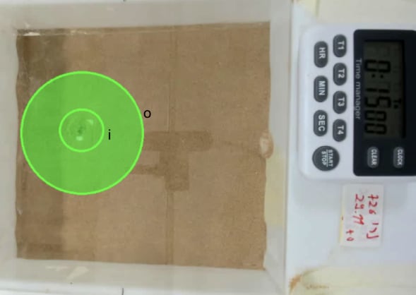 El experimento de laboratorio inmovilizó a una hormiga obrera y midió durante 15 minutos la respuesta de otras hormigas de la misma colonia (Gentileza, estudio Predictores transcripcionales del comportamiento de rescate en hormigas , publicado en Journal of Experimental Biology)