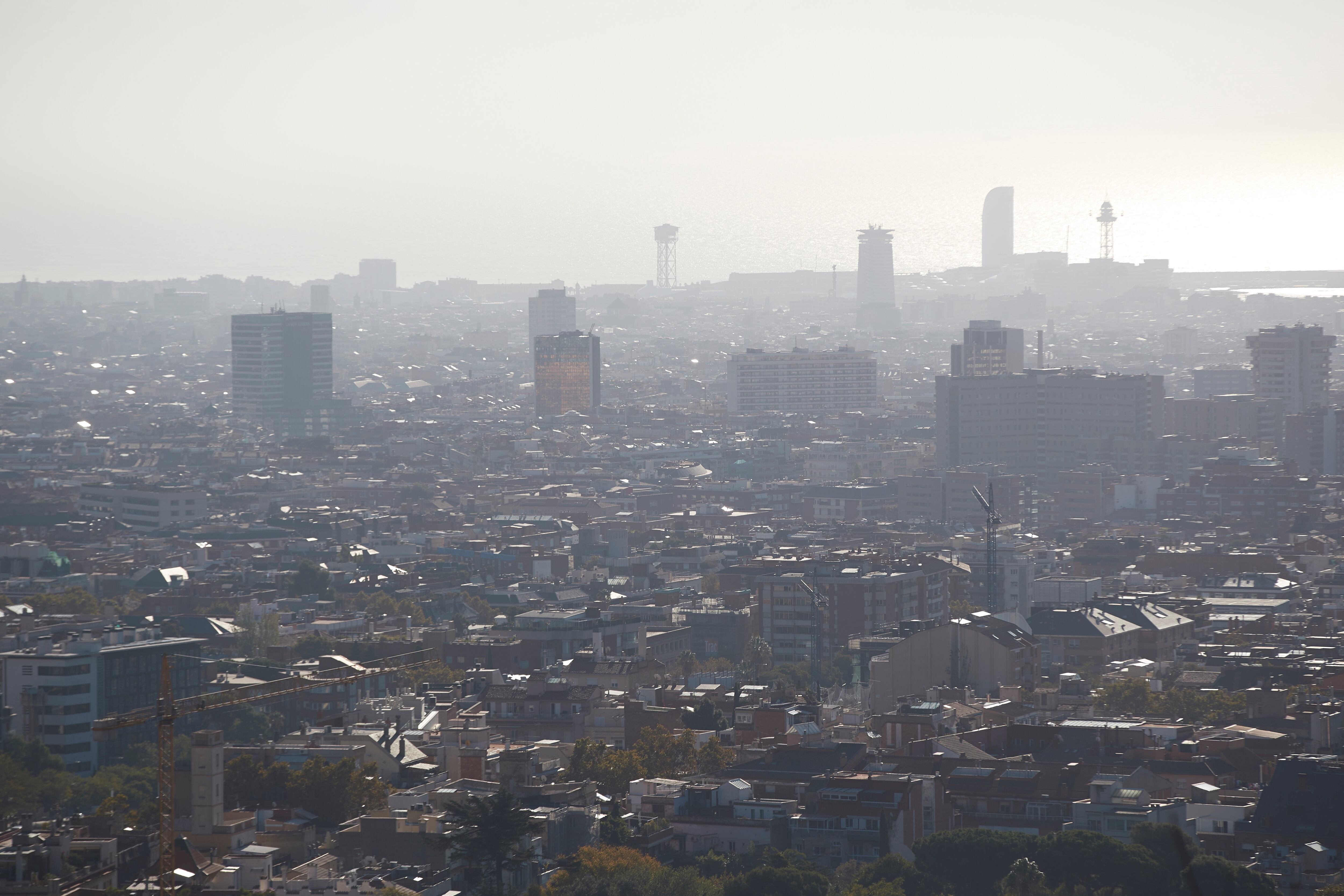 Michala de Linde Henriksen recomienda vigilar síntomas oculares en las mascotas y limitar su tiempo al aire libre para protegerlas de irritaciones causadas por el humo y la contaminación. (EFE/Alejandro Garcia)