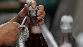 Qué enfermedades puede prevenir la