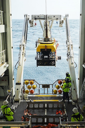 El vehículo operado remotamente (ROV) SuBastian cuando fue desplegado en la región del cañón submarino de Mar del Plata desde el buque de investigación Falkor (too)
