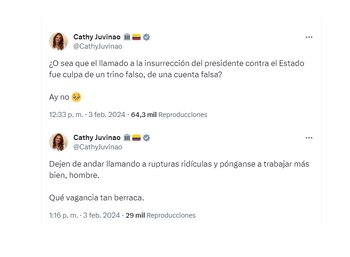 La representante ironizó el descache