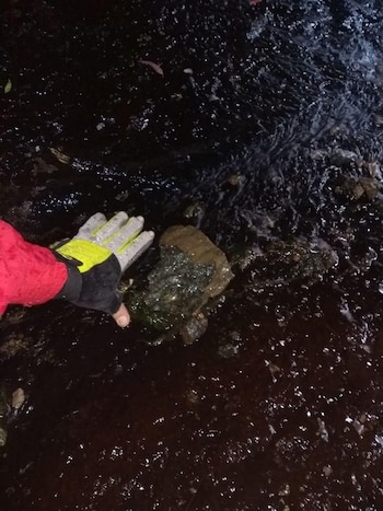 La marca que dejó uno