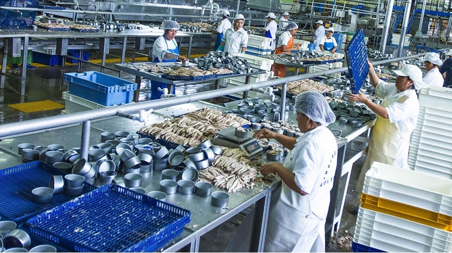 El crecimiento de la manufactura primaria respondió al mejor desempeño de distintas actividades relacionadas con la transformación de materias primas. Foto: Perú Info