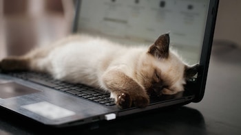 Blue Monday 2026: ¿Sabías que