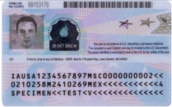 Cara posterior de la nueva