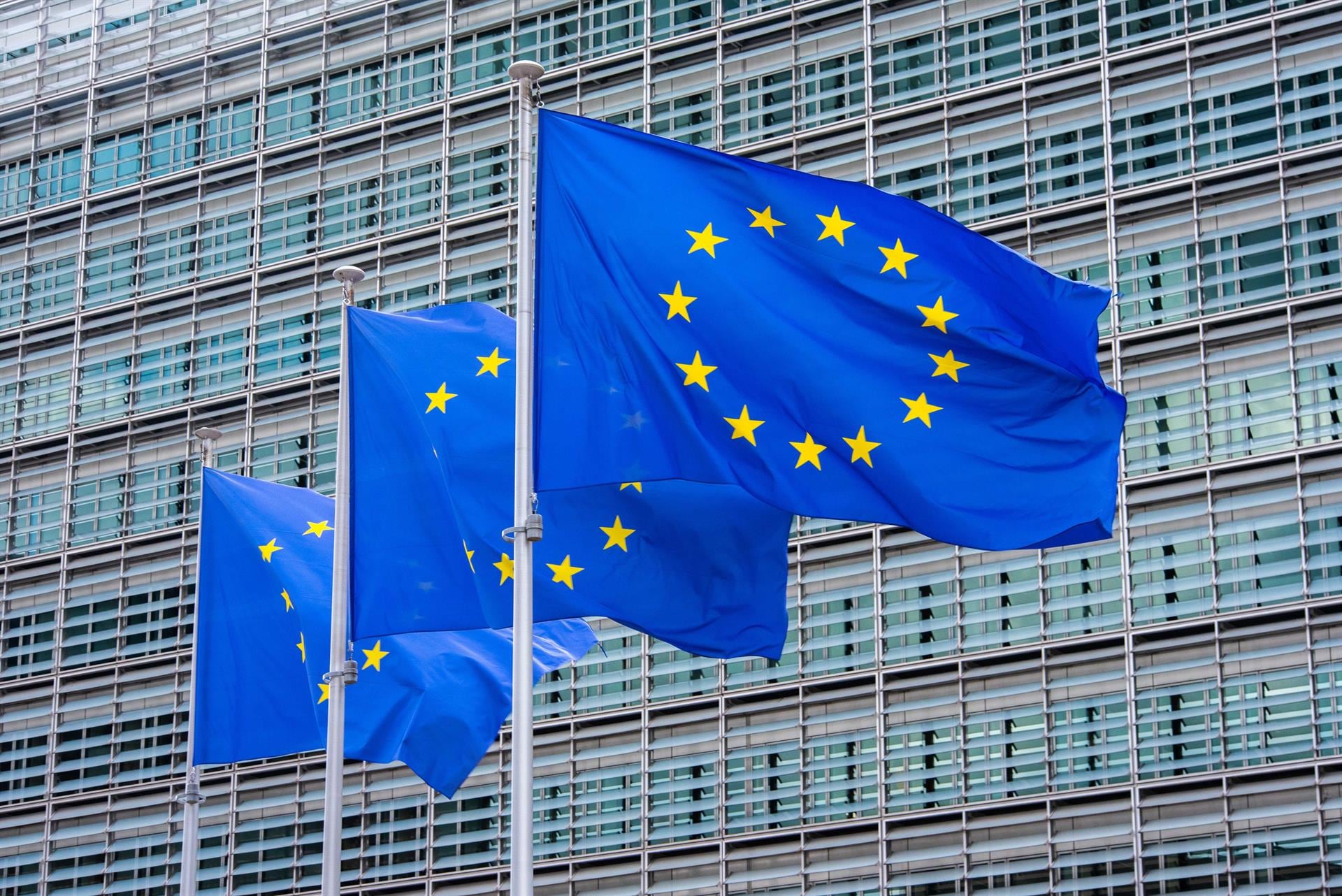 Bruselas rechaza por chocar con los valores de la UE una iniciativa ciudadana contra la migración legal de no europeos