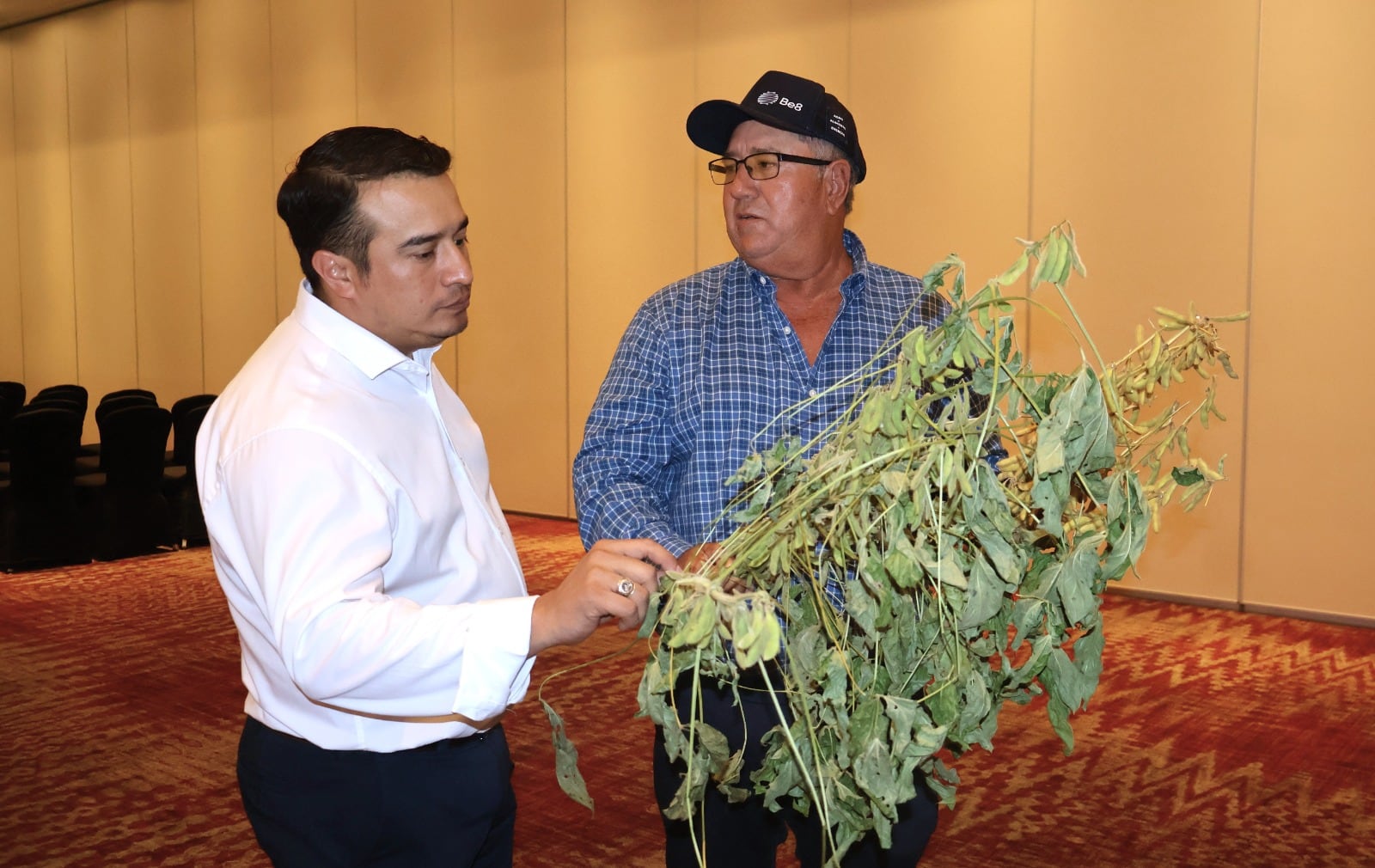 La propuesta contempla impulsar el cultivo de soya para obtener materias primas destinadas a la elaboración de productos derivados y biocombustibles. (Foto: X)