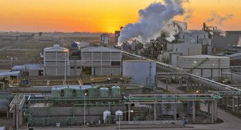 La industria nacional utiliza volúmenes