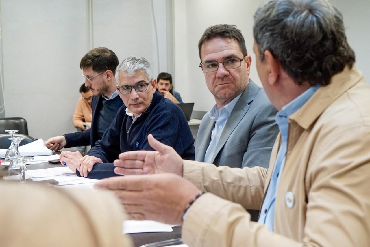 El proyecto de reforma a la Ley 13.482 autoriza dispositivos con efectos pasajeros y prohíbe las descargas por contacto directo