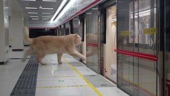 El mini sistema de metro