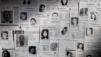 Alarmantes cifras de desaparición reflejan