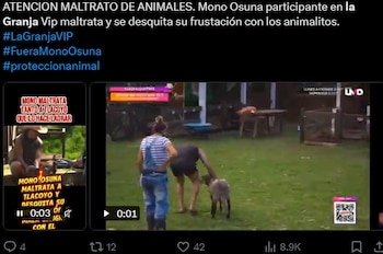 Captura de pantalla de un mensaje en redes sociales con texto y dos videos de participantes junto a animales en un corral