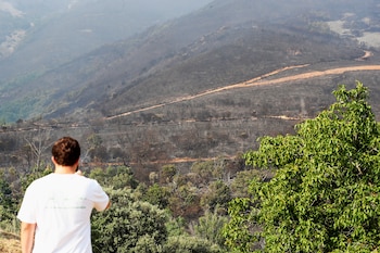 Superficie calcinada por el incendio forestal que se declaró este miércoles en Villaverde de los Cestos, en el municipio de Castropodame (León). (Ana F. Barredo/EFE)