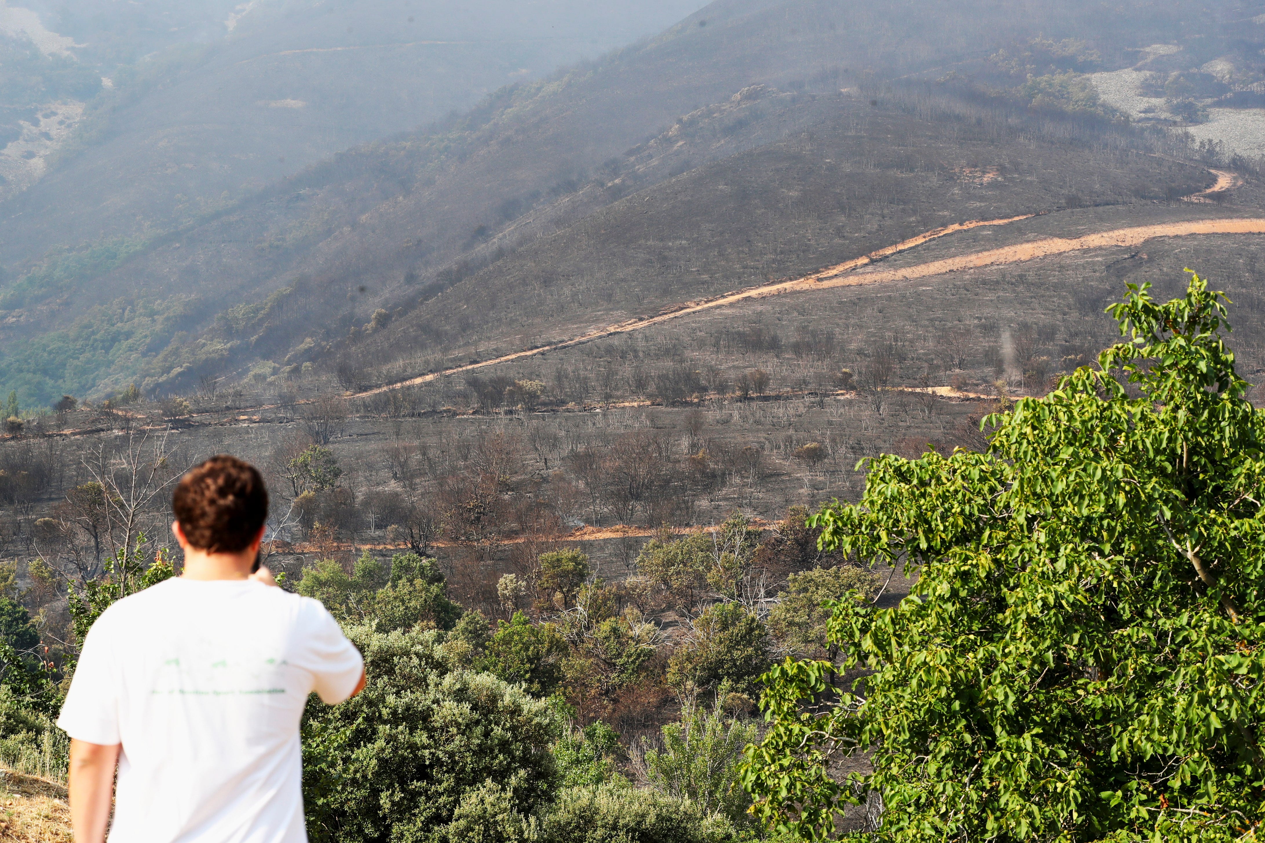 Superficie calcinada por el incendio forestal que se declaró este miércoles en Villaverde de los Cestos, en el municipio de Castropodame (León). (Ana F. Barredo/EFE)