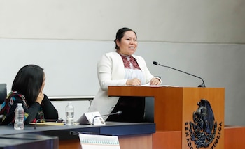 Se organizó el foro Lengua