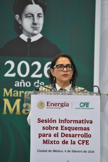 Una funcionaria presenta esquemas para