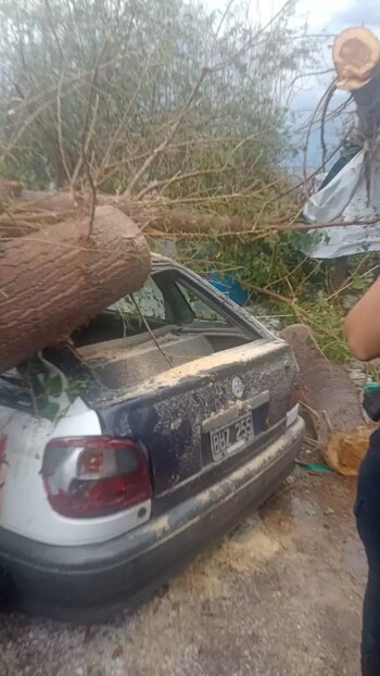 Así quedó el auto de