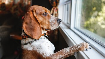 Desde eventos meteorológicos a estados