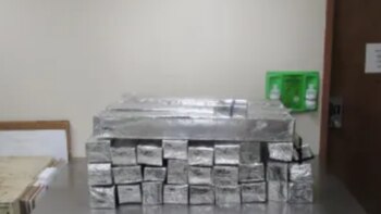 Drogas decomisadas en la frontera