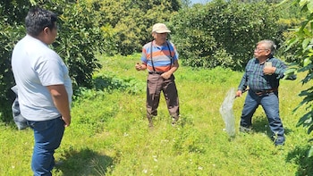 Transformando el campo Edomex 2025: