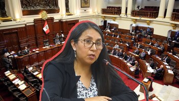 Parlamentaria de Cambio Democrático se