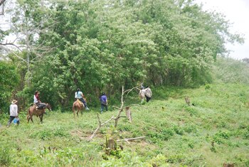 En los primeros nueve meses