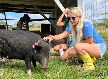 Una voluntaria en el santuario de cerdos en Hawái. (Selah’s Pig Sanctuary)