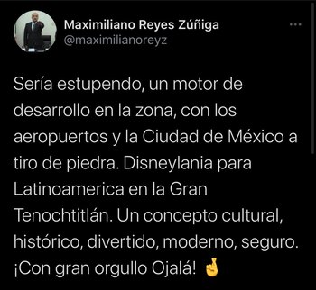 Maximiliano Reyes señaló que sería