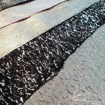 La piel de pescado es