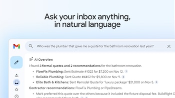 La función AI Overviews permite