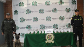 Incautaron más de 21 kilos de marihuana ocultos en latas de fríjoles: la encomienda fue encontrada en el aeropuerto El Dorado de Bogotá