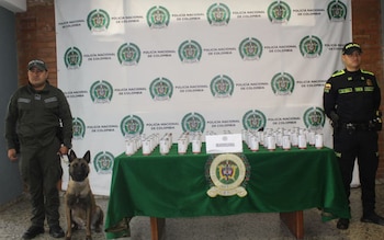Un operativo reciente en la capital de Colombia dejó al descubierto un nuevo método para el transporte de drogas: más de 21 kilogramos de marihuana fueron hallados ocultos dentro de latas de fríjoles - crédito Policía Metropolitana de Bogotá