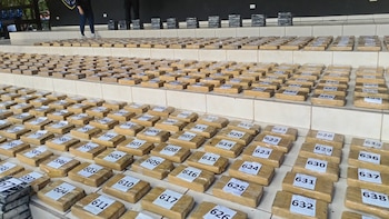Honduras: Asciende a 648 kilos de cocaína incautada y más de 262 mil dólares en dos operaciones en el sur del país