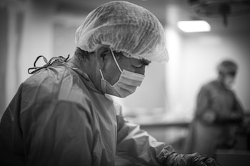 Los especialistas se encargaron de