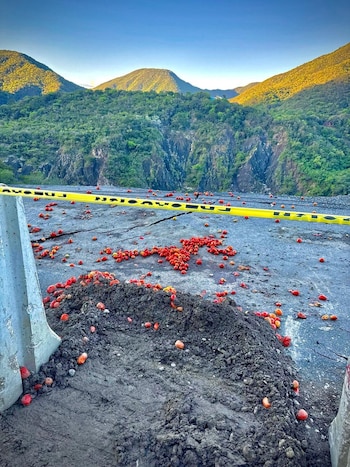 Las autoridades vigilan el perímetro del socavón en San José de Ocoa ante la inestabilidad del suelo y el riesgo de nuevos deslizamientos. (Foto cortesía Gobernación Provincial San José de Ocoa)