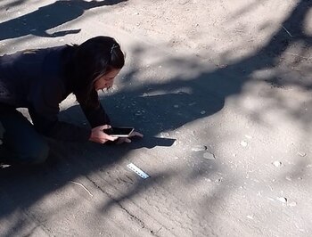 Existe un proyecto entre Parques