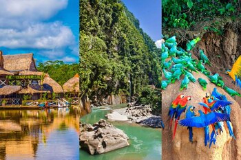 Fiesta de San Juan: todos