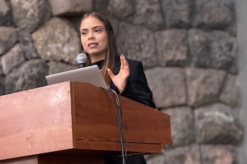 El grupo de expertos expuso