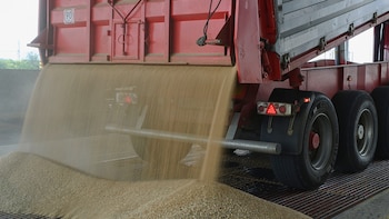 El transporte de granos suma una tarifa orientativa para ganar previsibilidad