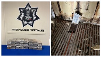 El cargamento fue detectado por