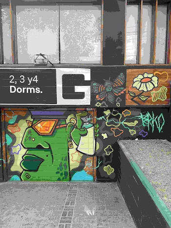 Murales con un rostro verde con gafas, una polilla y una flor junto a un letrero con la letra G y la indicación de dormitorios