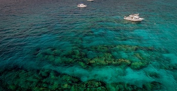 Varias embarcaciones flotan sobre aguas de color azul y verde que muestran arrecifes de coral visibles bajo la superficie