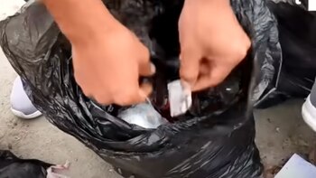 El flujo constante de presuntos