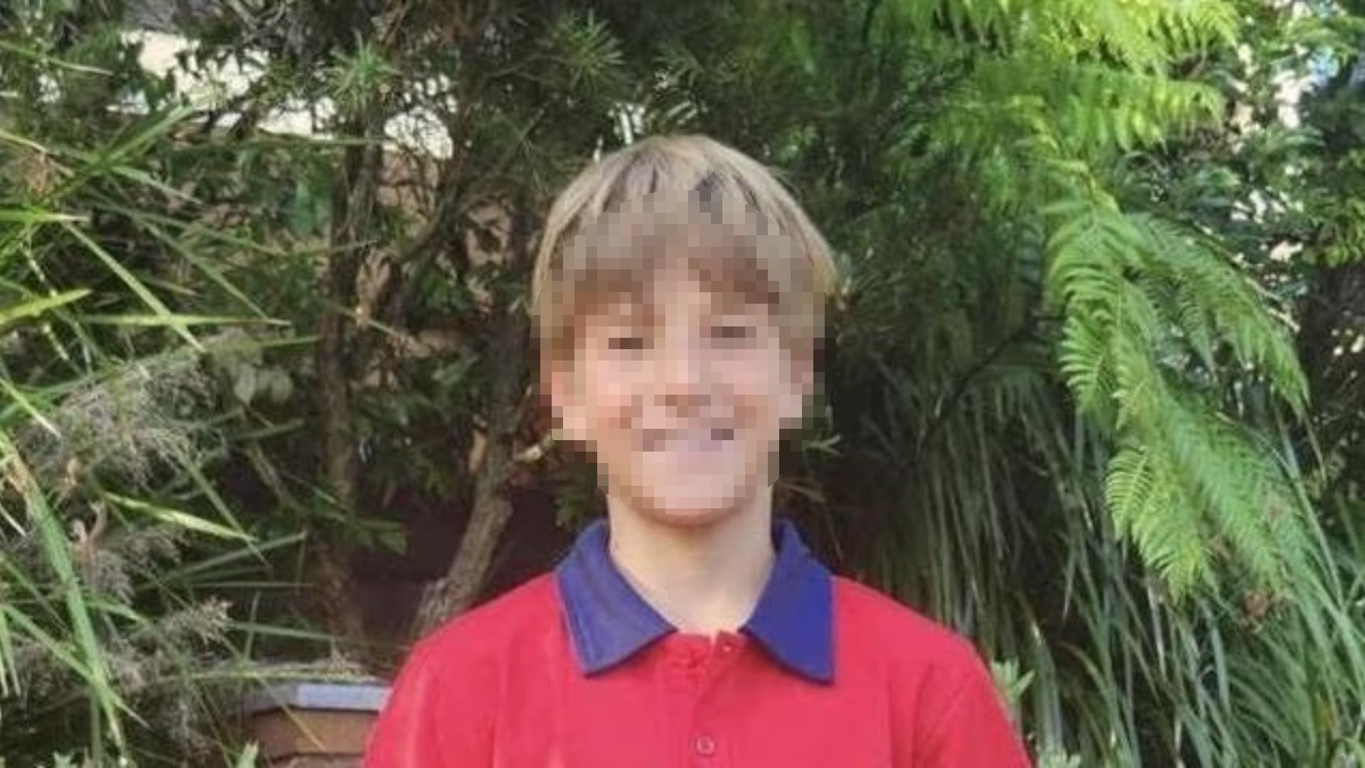 Nico Antic, el nene australiano de 12 años que fue mordido por un tiburón en el puerto de Sídney (Créditos: news.com.au)