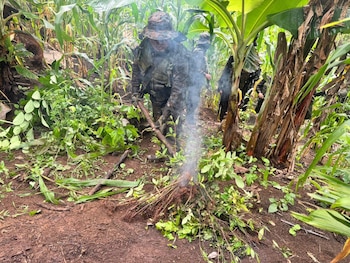 Un hombre con uniforme militar de camuflaje mueve plantas encendidas con humo sobre la tierra en medio de la vegetación