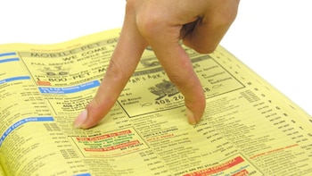 ¿Cómo sobrevive un gigante del