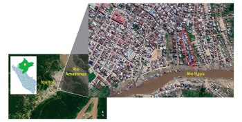 Los peces analizados pudieron provenir